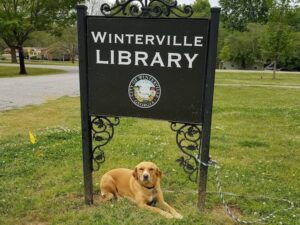 Winterville Library sign with dog